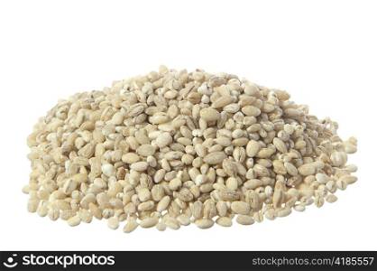 few grains of barley raw on white background
