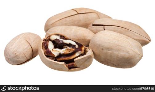 few pecan nuts in shell isolated on white background