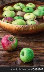 few small apples. Autumn harvest of apples in the bowl of water on wooden background.Photo tinted.
