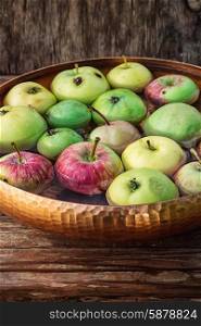 few small apples. Autumn harvest of apples in the bowl of water on wooden background.Photo tinted.