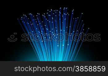 Fiber optic loop