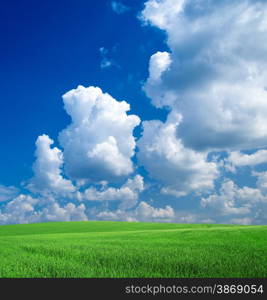 field and blue sky&#xA;&#xA;