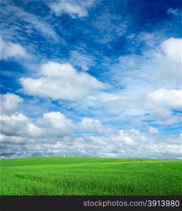 field and blue sky&#xA;&#xA;
