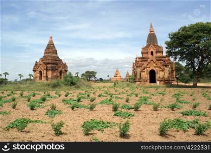 Field and brick pagodas in Bagan, Myanmar