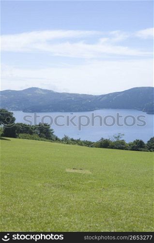Field and lake landscape
