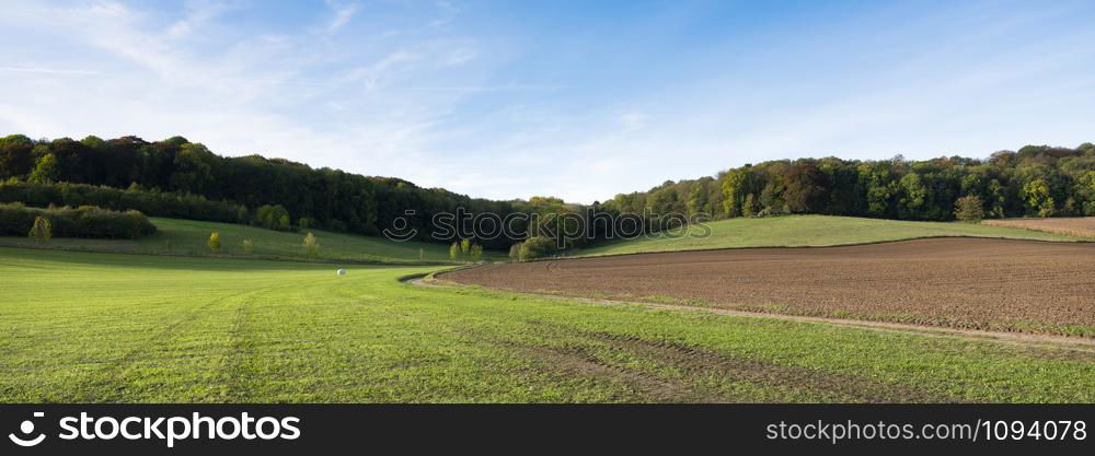 field and patch of sunshine on meadow in south limburg near valkenburg on sunny day in the fall
