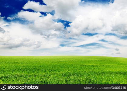 field and sky