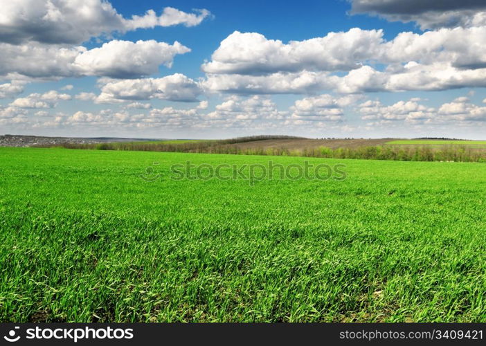 field and sky