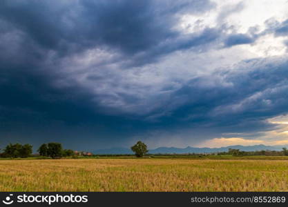 field and storm rainclouds 