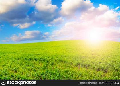 field and sun