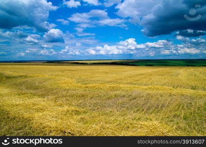 field and the beautiful blue sky