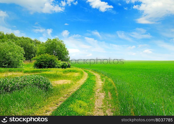 field, country road and a blue sky