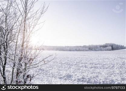 Field covered in snow in a countryside scenery on a bright day