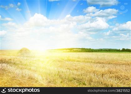 Field illuminated by the sun