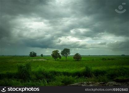 Field in the storm near Chiang Mai, Thailand. Field in the storm, Chiang Mai, Thailand