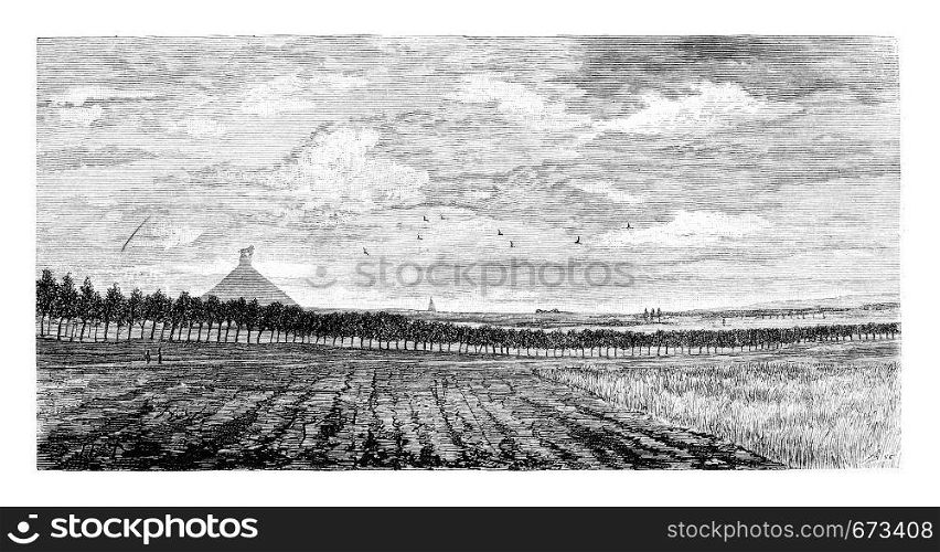 Field in Waterloo, Belgium, drawing by Taelemans, vintage illustration. Le Tour du Monde, Travel Journal, 1881