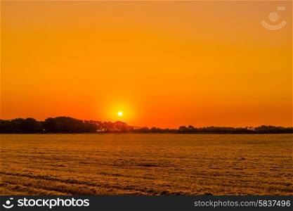 Field landscape in the morning with a sunrise