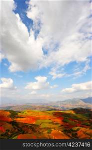 Field landscapes in Yunnan Province, southwest of China