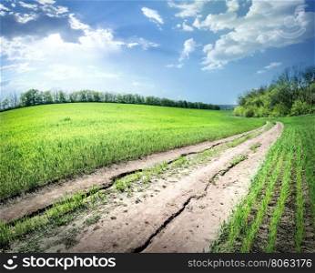 Field of bright green grass and road under blue sky. Field of bright green grass and road