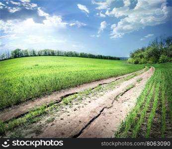 Field of bright green grass and the road under blue sky. Field of bright green grass and the road