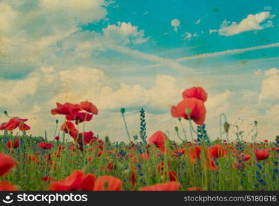 Field of bright red corn poppy flowers in summer