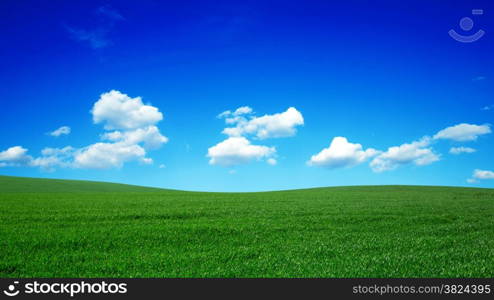 field of grass and perfect blue sky