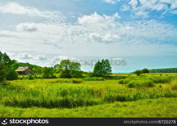 field of grass and perfect sky, Belarus