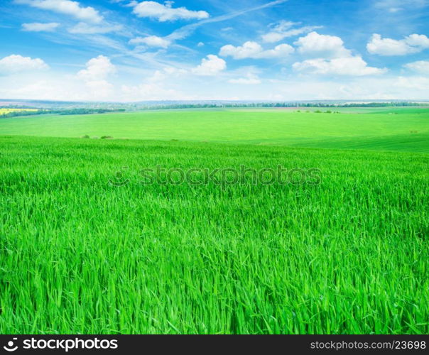 field of grass and perfect sky&#xA;&#xA;