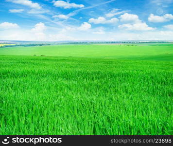 field of grass and perfect sky&#xA;&#xA;