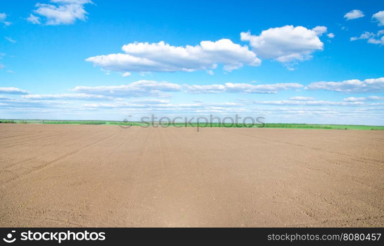 field of grass and perfect sky&#xA;&#xA;