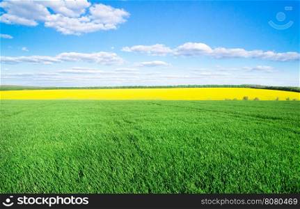 field of grass and perfect sky&#xA;&#xA;