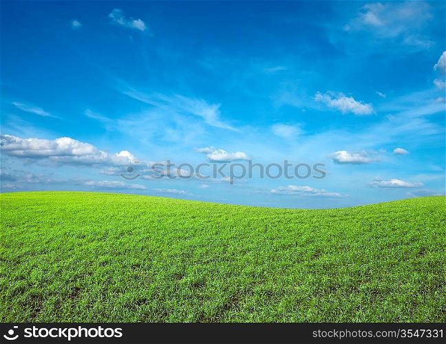 Field of green fresh grass under blue sky