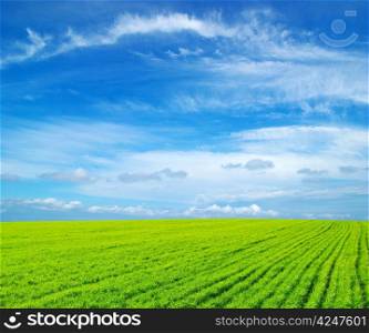 field of green grass and blue cloudy sky