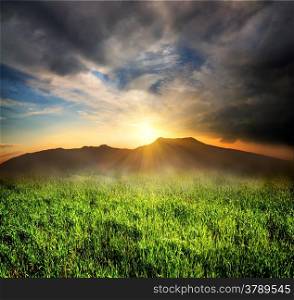 Field of green grass in mountains at sunset
