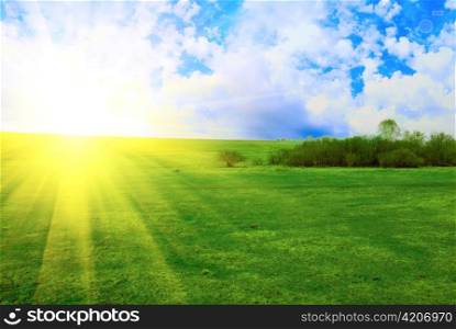 field of green grass on a background a sunrise