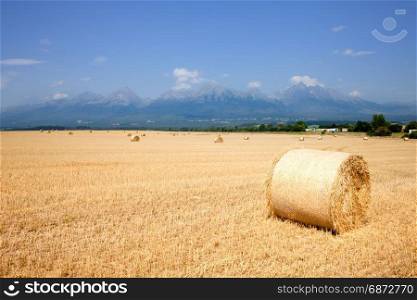 Field of harvest wheat, straw bale high mountain range on the background