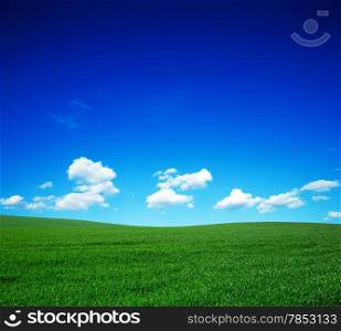 Field of summer grass and bright blue sky