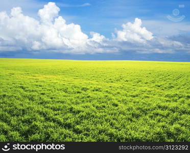 field on a background of the blue sky