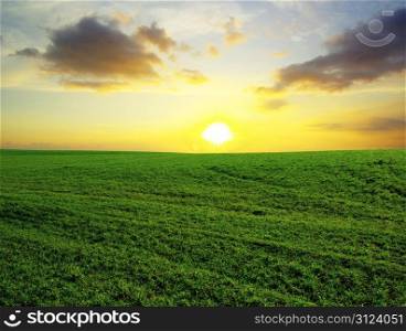 field on a background of the blue sky