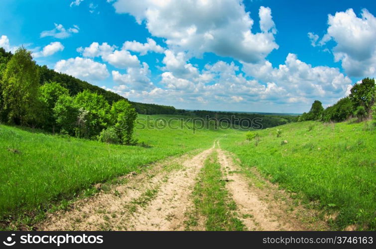 field on a background of the blue sky