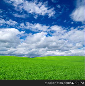 field on a background of the blue sky