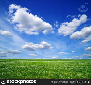 field on a background of the blue sky