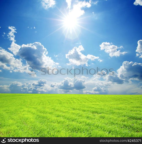 field on a background of the blue sky