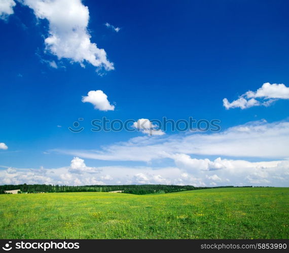 field on a background of the blue sky