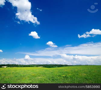 field on a background of the blue sky