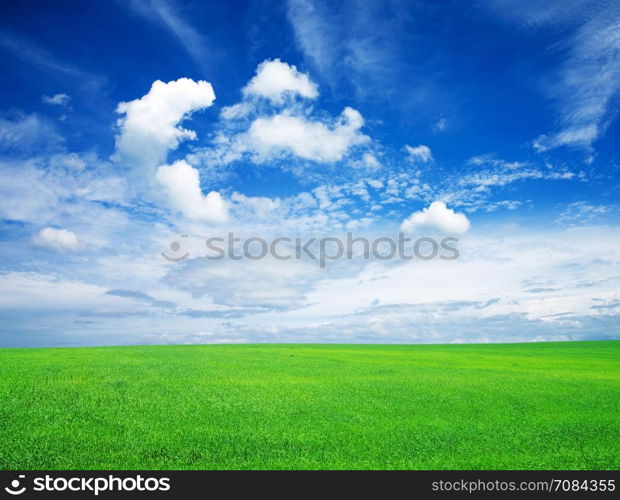 field on a background of the blue sky