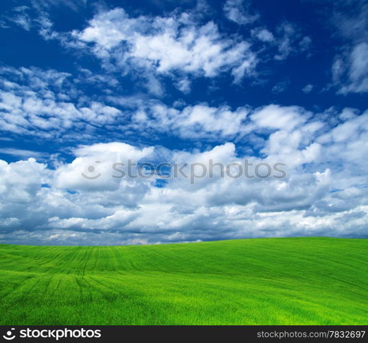 field on a background of the blue sky