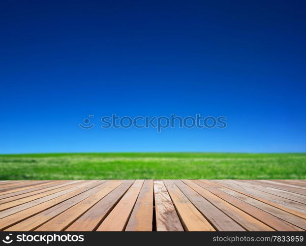 field on a background of the blue sky