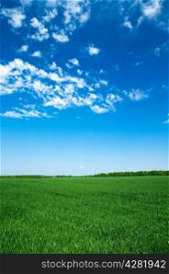 field on a background of the blue sky&#xA;&#xA;