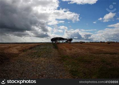 Field on farming land in Ireland, County Cork